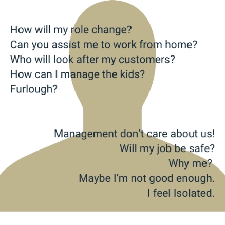 TLA-management-questions